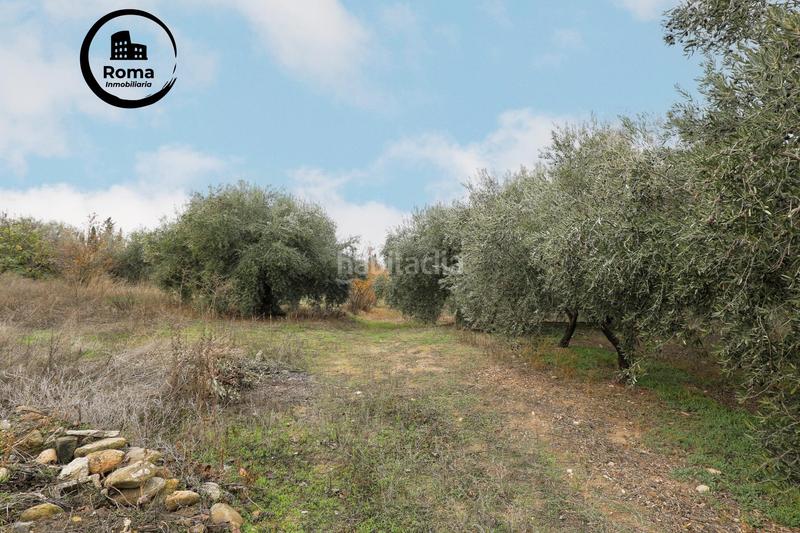 Foto 94d2d9be-57aa-42c1-afb9-99704c33cb41. Mas avec parking dans Gójar