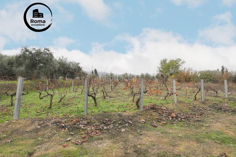 Foto a3526967-4f1d-4e42-a304-fdeab85d0af2. Mas avec parking dans Gójar