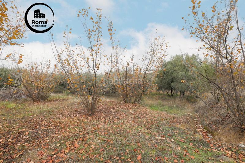 Foto f458f149-17a6-4000-ad3b-f5e37eec9258. Mas avec parking dans Gójar