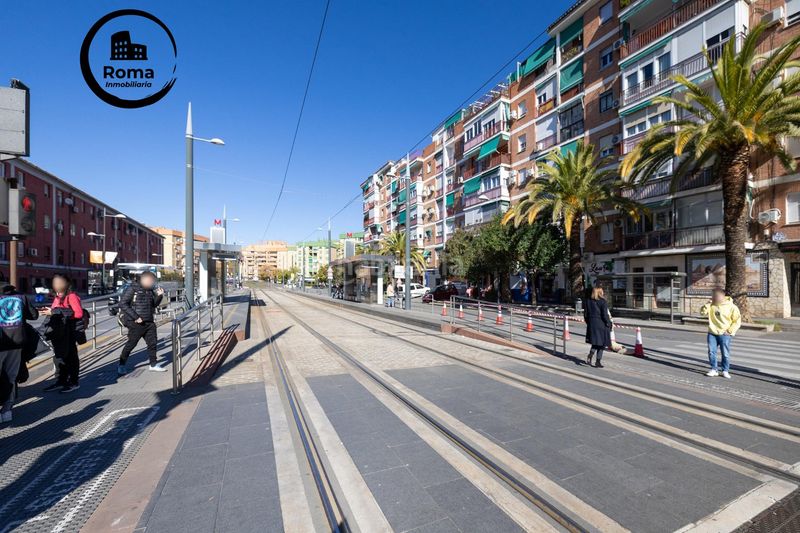 Foto ae98bd8d-4587-4e59-b980-b4ef1fcc8bf0. Pis a Pajaritos Granada