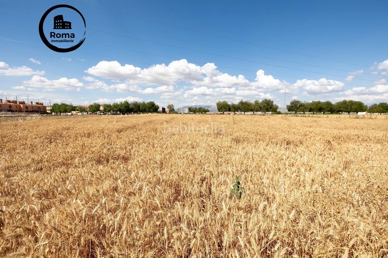 Foto 13a26553-b5f2-42fa-a01e-ce15f41dd48f. Terreny residencial a Híjar Gabias (Las)
