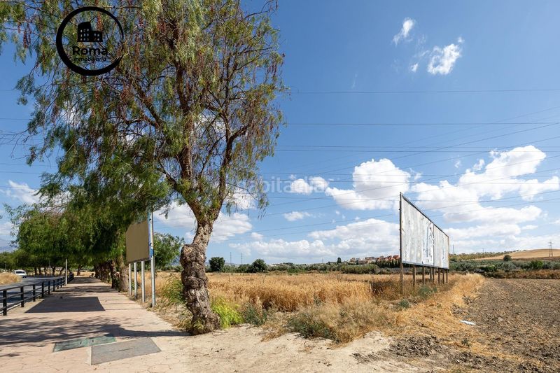 Foto 68f5341b-a45f-48c7-8a04-743d316ff551. Terreny residencial a Híjar Gabias (Las)