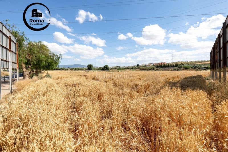 Foto 96b05f84-85b8-4bac-afa5-1806d1e0718f. Terreny residencial a Híjar Gabias (Las)