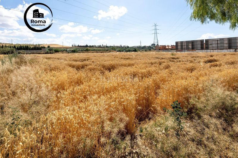 Foto c28d65c2-0fb2-4f12-92ce-ece768cdc12e. Terreny residencial a Híjar Gabias (Las)