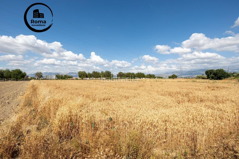 Foto c66ead7f-8b1c-4a81-9106-ff80ba0a42f6. Terreny residencial a Híjar Gabias (Las)