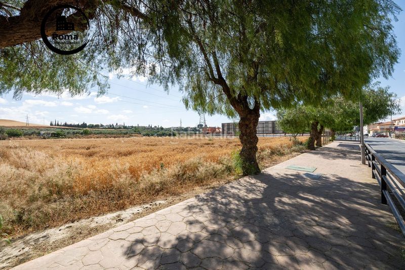 Foto db3b5f67-0fd5-479c-8366-7d78894c1165. Terreny residencial a Híjar Gabias (Las)