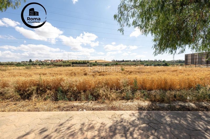 Foto e304bb5f-6174-4b6b-837c-8949499f58f8. Terreny residencial a Híjar Gabias (Las)