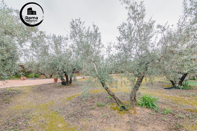 Foto 0cc5be72-ebb9-470c-ac58-2ff8874055a3. Finca rústica a Ogíjares