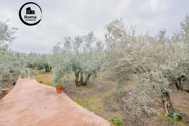 Foto d79143d0-8750-4425-9b38-975b78e77e09. Finca rústica a Ogíjares