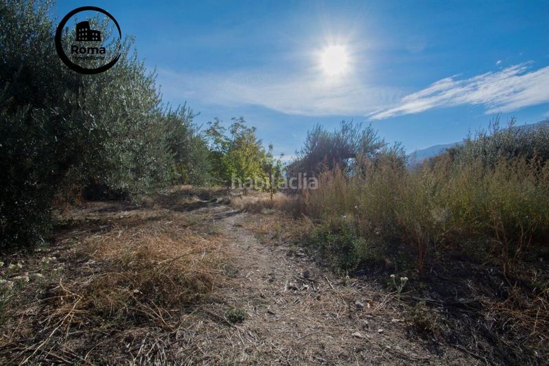 Foto 63c44d99-e50f-4ed4-8fda-3d08d3cc7b73. Xalet amb aparcament piscina a Güéjar Sierra