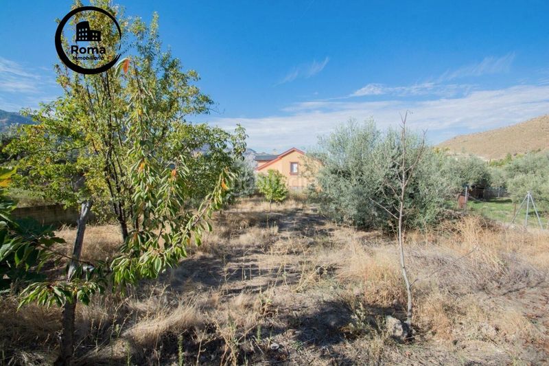 Foto d0e911cb-3a19-40d1-9073-2e7f38156ddc. Xalet amb aparcament piscina a Güéjar Sierra