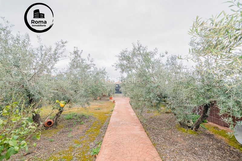 Foto 52ef94fb-1a70-46ae-8df0-a13e6b45e557. Finca rústica a Ogíjares