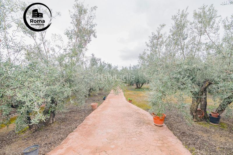 Foto 643cab3f-7b01-4d0a-bdbe-133a981579b0. Finca rústica a Ogíjares