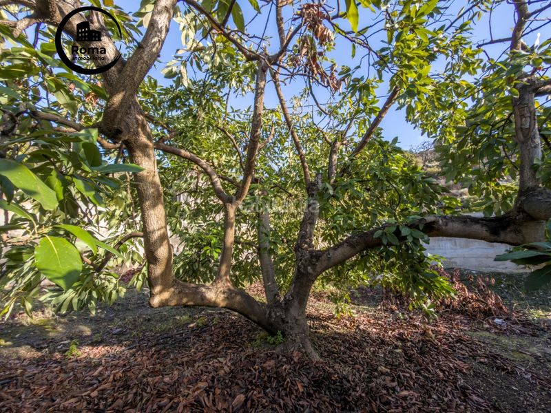 Foto a0334eb4-955a-4afc-8abc-3d1d20aed72f. Masia amb aparcament a Guájares (Los)