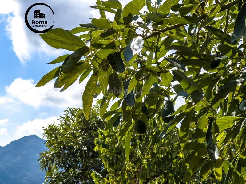 Foto dcca7cb4-0c64-42ea-8c11-9d84700d745f. Masia amb aparcament a Guájares (Los)