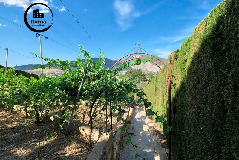 Foto d6333284-9451-4264-823d-7ad7286b9493. Masia a camino viejo de motril a Padul