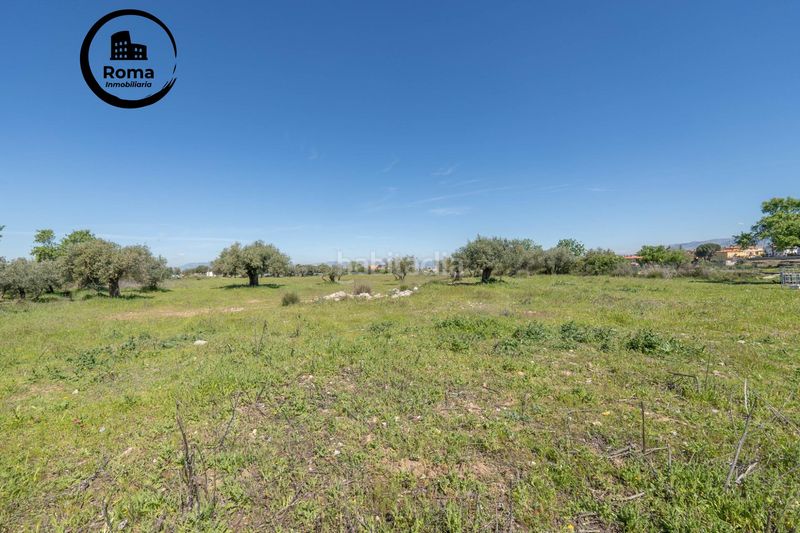 Foto 43a67533-1e92-497a-917e-0a71a626def5. Finca rústica a Villa de Otura
