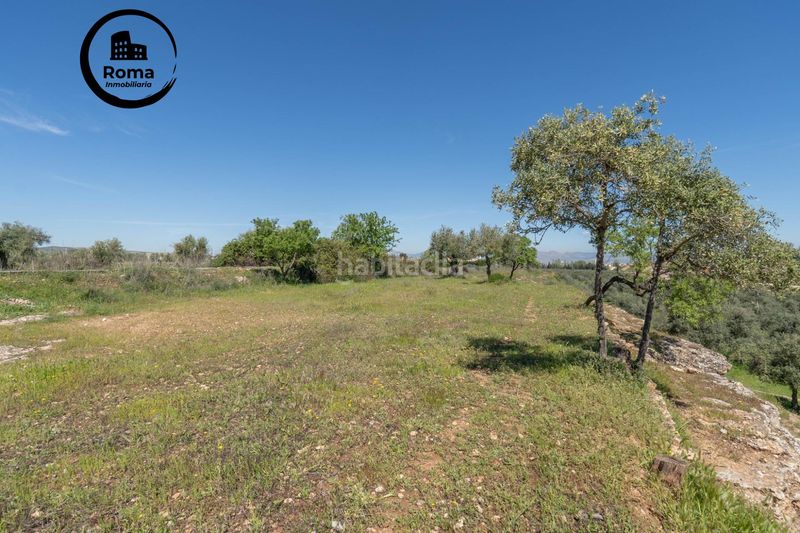 Foto 4736fb8a-1448-4c5e-a6b3-cd4a97afd5a4. Finca rústica a Villa de Otura