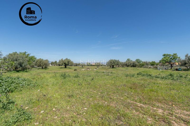 Foto 4f8bb8a2-ee82-444e-95ce-a821fdc542f6. Finca rústica a Villa de Otura