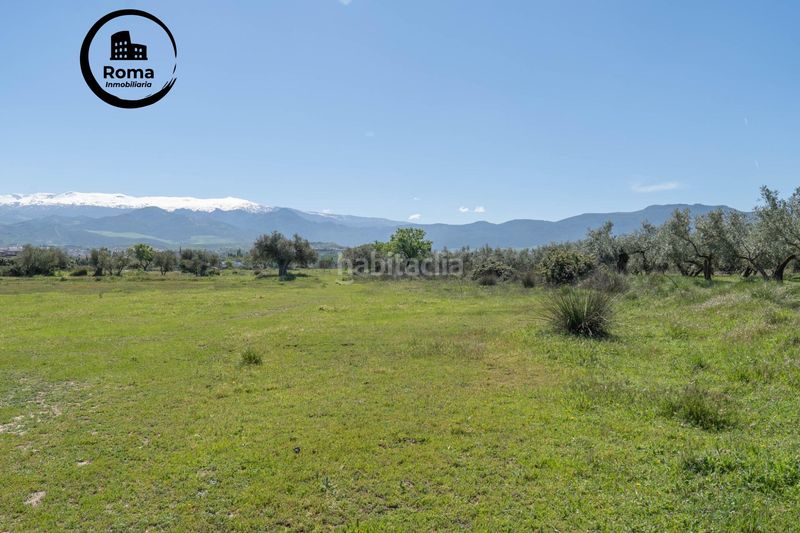 Foto 599fcda4-09c8-4074-be49-604e0f3fe590. Finca rústica a Villa de Otura