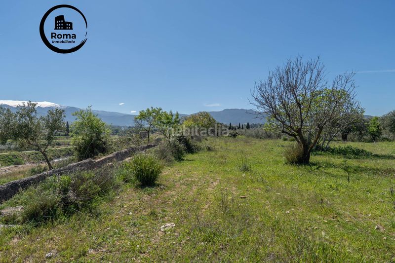 Foto 60bbb1fb-1117-4fba-a1e8-83ac0ee4e9f5. Finca rústica a Villa de Otura