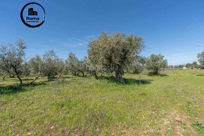 Foto 64c99e70-3ed8-4a1a-bd75-4b6e0da9f2a3. Finca rústica a Villa de Otura