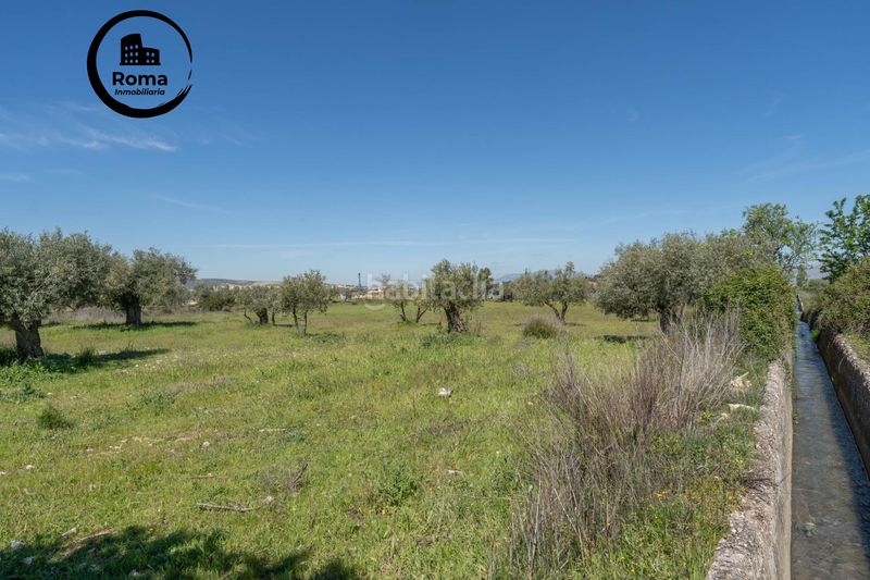 Foto 6a690e3a-3b6f-40e5-9a18-865ca8712700. Finca rústica a Villa de Otura