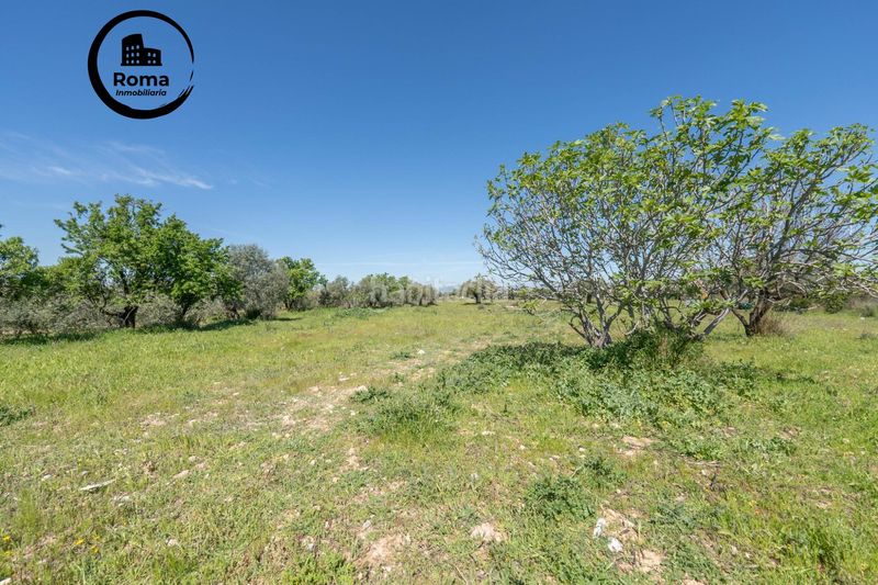 Foto 932a3dca-6233-461e-a46e-cbd6301db418. Finca rústica a Villa de Otura