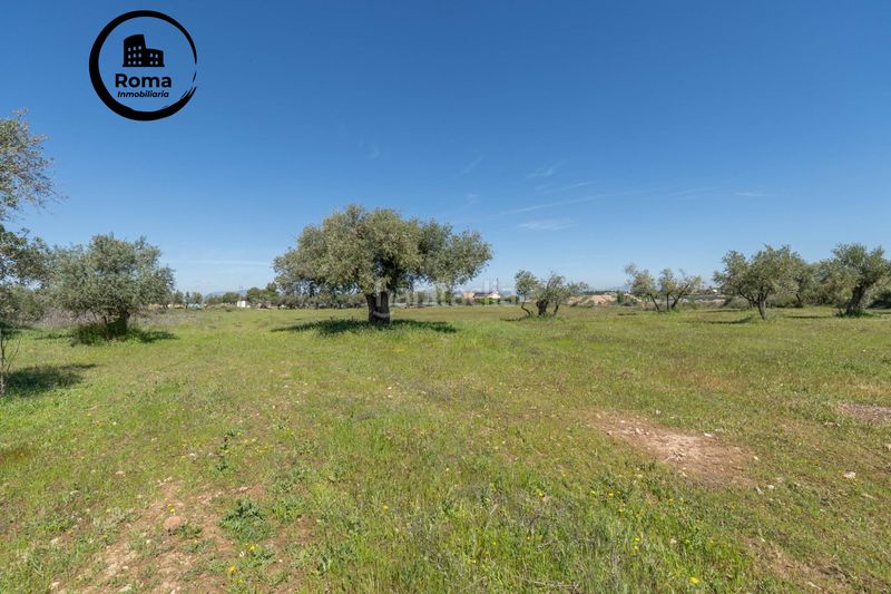 Foto a22a7b54-c2aa-46f1-87fb-ad2abc38d815. Finca rústica a Villa de Otura