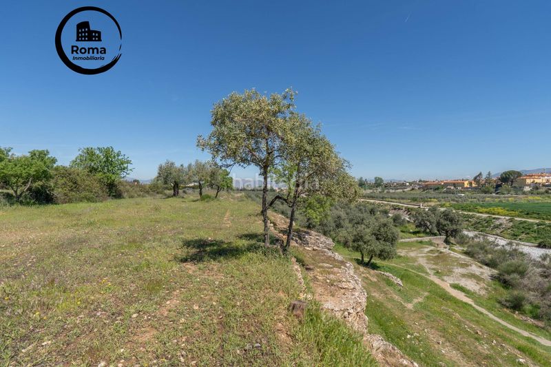 Foto a509f066-d7b0-4347-ab62-839031fa86e7. Finca rústica a Villa de Otura