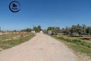 Rural plot  Camino otura. Terrero rústico en otura