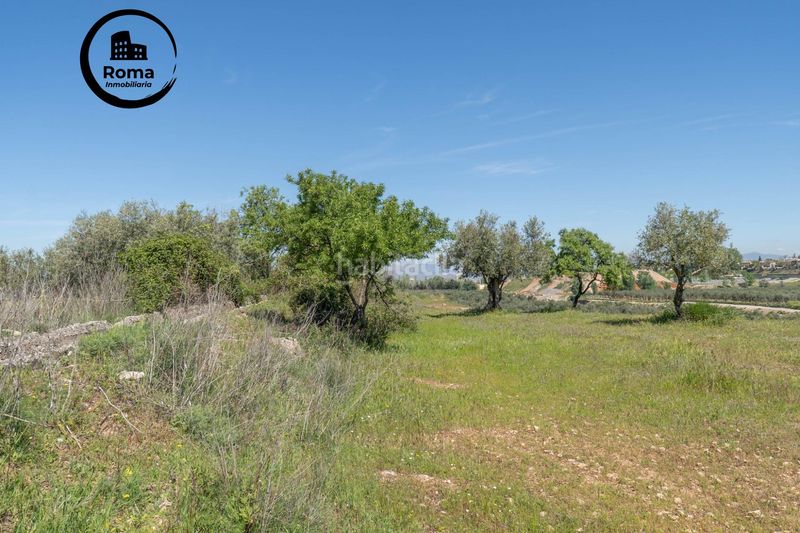 Foto b28670ff-f820-4d54-922e-f50a4844bc5c. Finca rústica a Villa de Otura