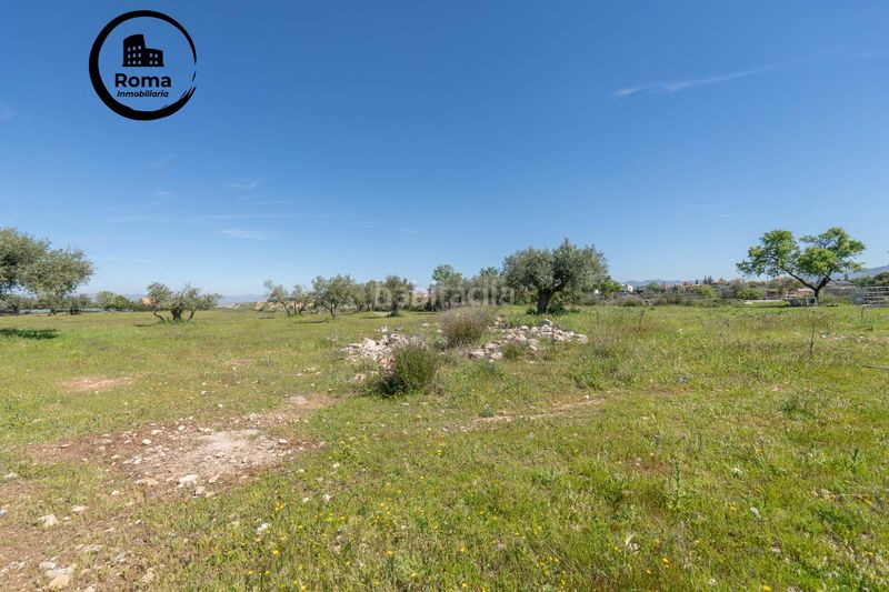 Foto b6fdaa2c-e995-47bd-be06-320bada1ddec. Finca rústica a Villa de Otura
