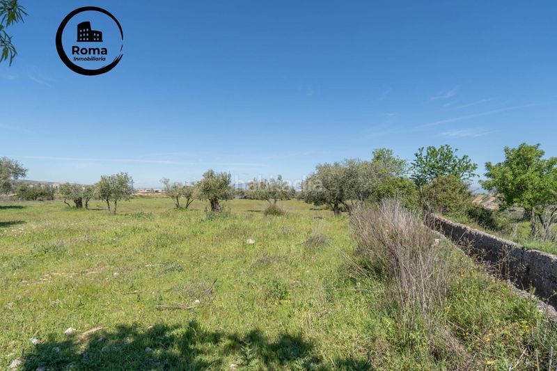 Foto ba9163c4-e1e8-4445-8329-b3baf5763475. Finca rústica a Villa de Otura