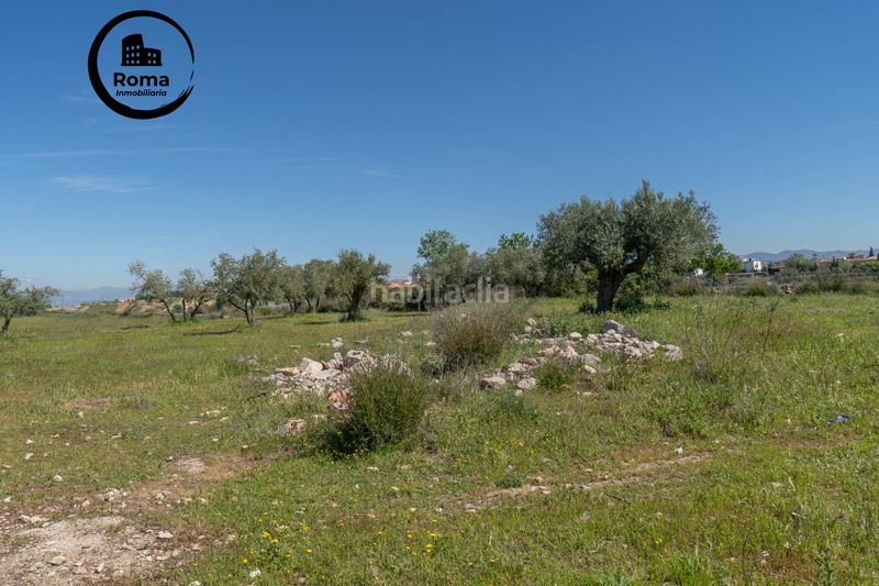 Foto d8f02ceb-749e-482c-8fec-3d0bc0d40f74. Finca rústica a Villa de Otura