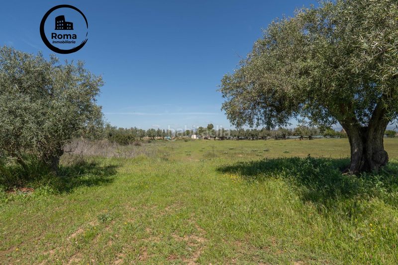 Foto f021a2d7-1142-4f89-a542-fa0d0cdc847c. Finca rústica a Villa de Otura
