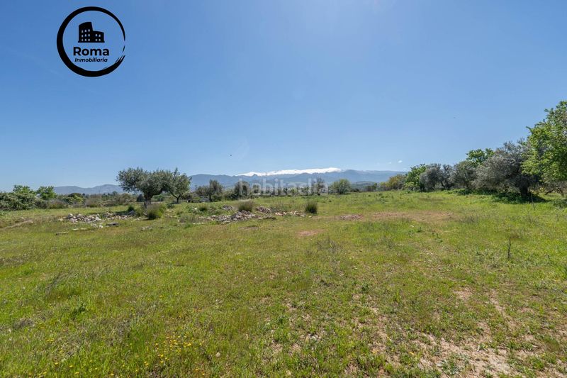 Foto fb8e88a4-5e87-4094-9bac-a4aaca280689. Finca rústica a Villa de Otura