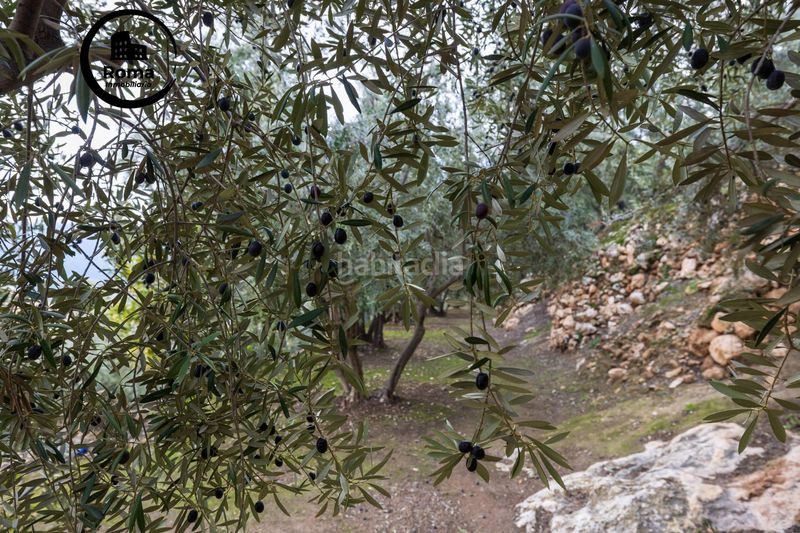 Foto 0f5e987b-ee38-4721-b338-a5f1f1d5e6d1. Finca rústica a Pinar (El)