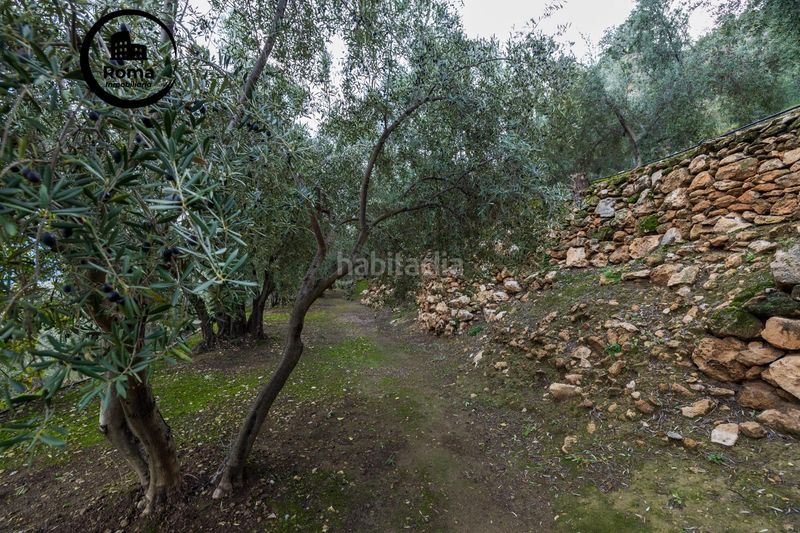 Foto 5aa7c904-b8c5-426f-aa0d-a69ec1b53560. Finca rústica a Pinar (El)