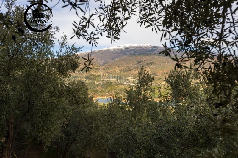 Foto 6cd42645-fe65-43d1-ba47-d0d589b00de7. Finca rústica a Pinar (El)