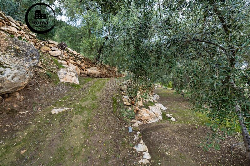 Foto 82336096-7fca-456d-9a31-267072be7006. Finca rústica a Pinar (El)