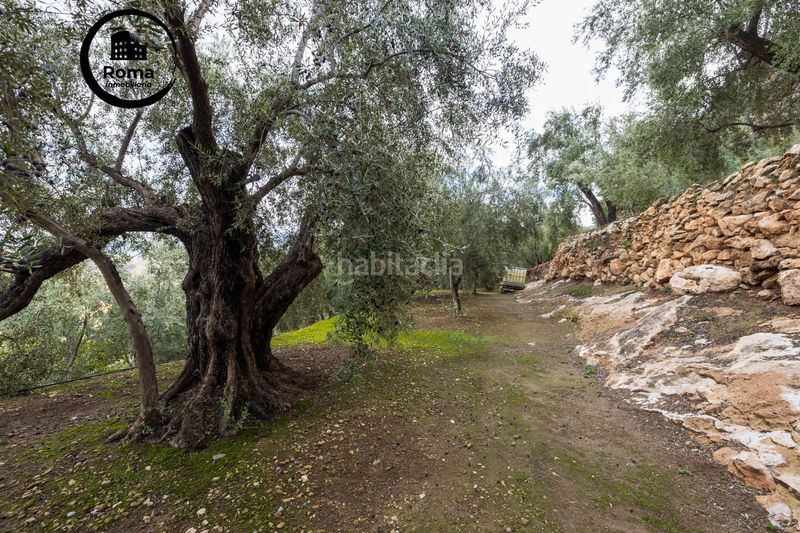 Foto b0eeaf82-61fe-430b-b901-8e4e68fd1caf. Finca rústica a Pinar (El)