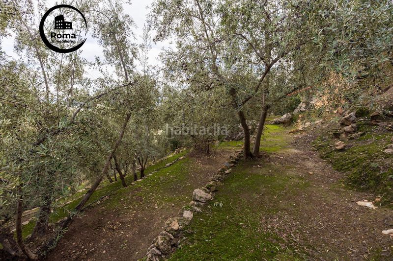 Foto e9246473-3544-4ded-99c2-789fe6fb4435. Finca rústica a Pinar (El)
