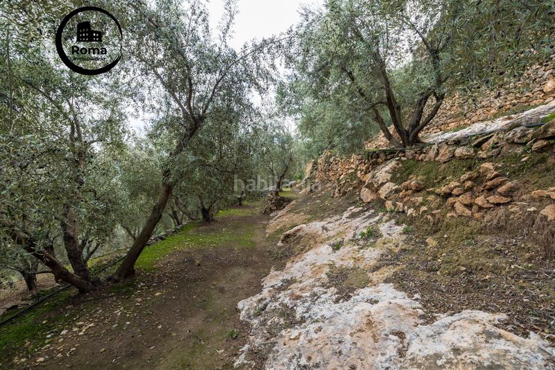 Foto ed0bcede-84e9-4a3f-9e5f-7427cc878e62. Finca rústica a Pinar (El)