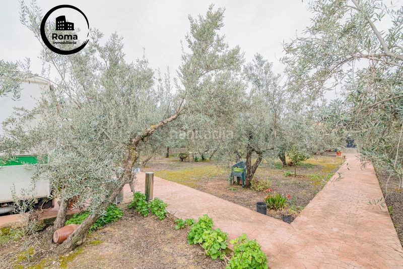 Foto aec94b0c-49ee-407a-825d-cbcc90282dfe. Finca rústica a Ogíjares