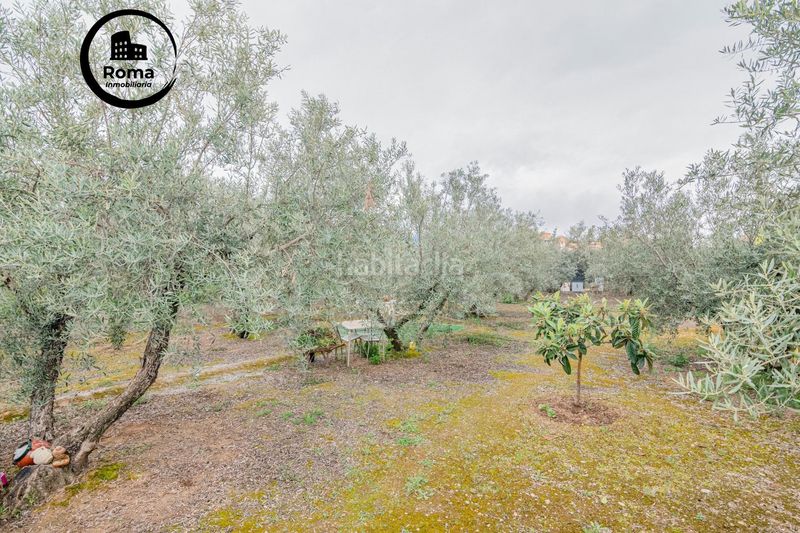 Foto 43b3e1f1-a926-4b2b-8a93-7e3369d33136. Finca rústica a Ogíjares
