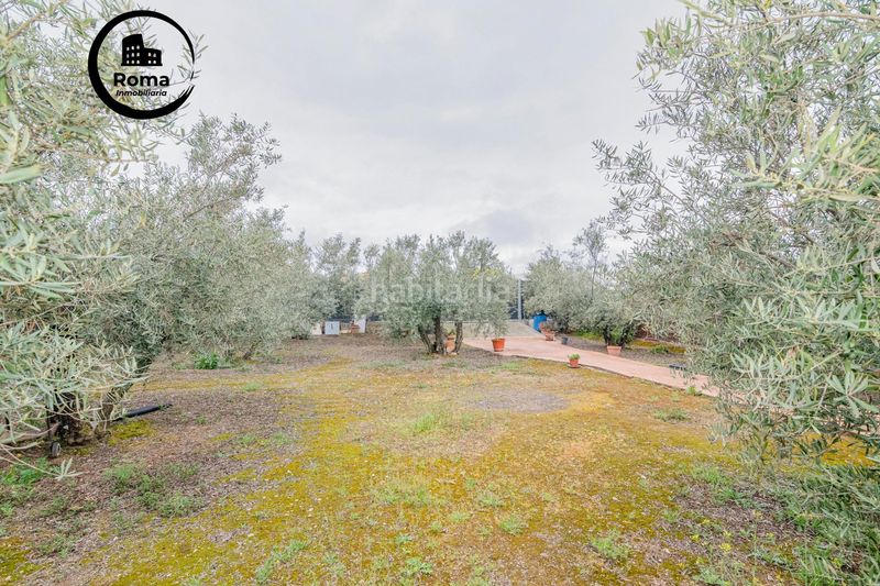 Foto bd87b16c-4c4c-4bef-b499-5c5940dd4b50. Finca rústica a Ogíjares