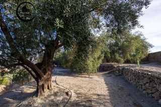 Rural plot in Pinar (El). Finca rústica en venta en pinos del valle valle de lecrín