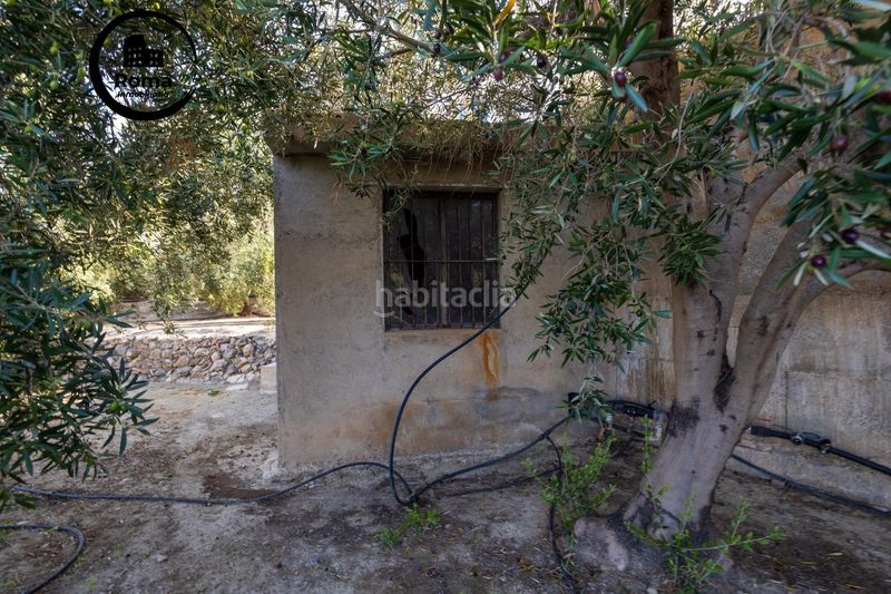 Foto 43959aa7-e148-4461-9c56-02c657d75eff. Finca rústica a Pinar (El)