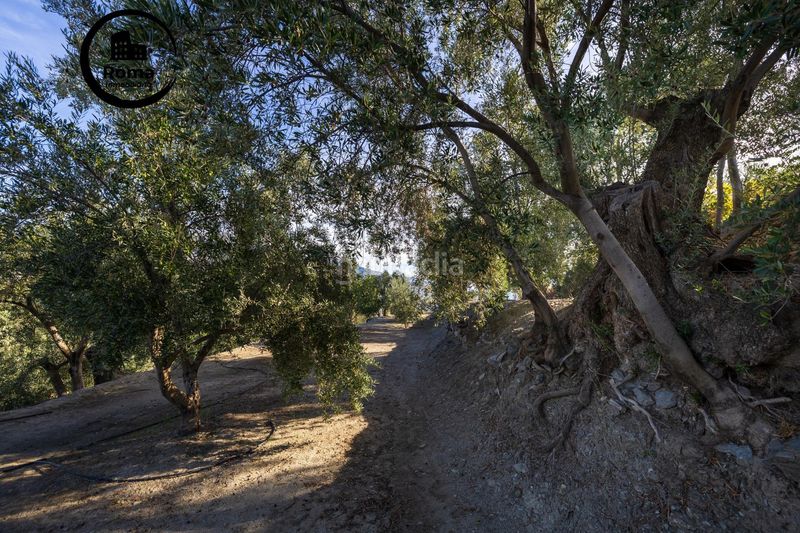 Foto efd78e73-3091-4956-8a3c-edb59b2edec7. Finca rústica a Pinar (El)